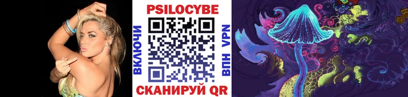 Купить где  Новокузнецк  Псилоцибиновые грибы мицелий 