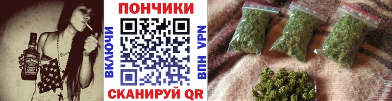 Купить где  Новокузнецк  Канабис ГИДРОПОН 